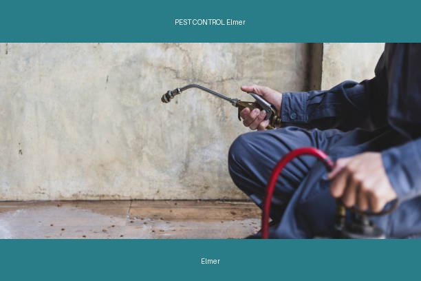 PEST CONTROL Elmer